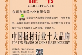 十大品牌 (2)