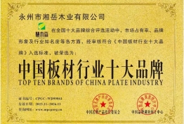 十大品牌