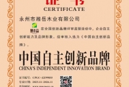 自主创新