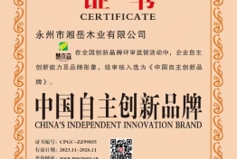 自主创新